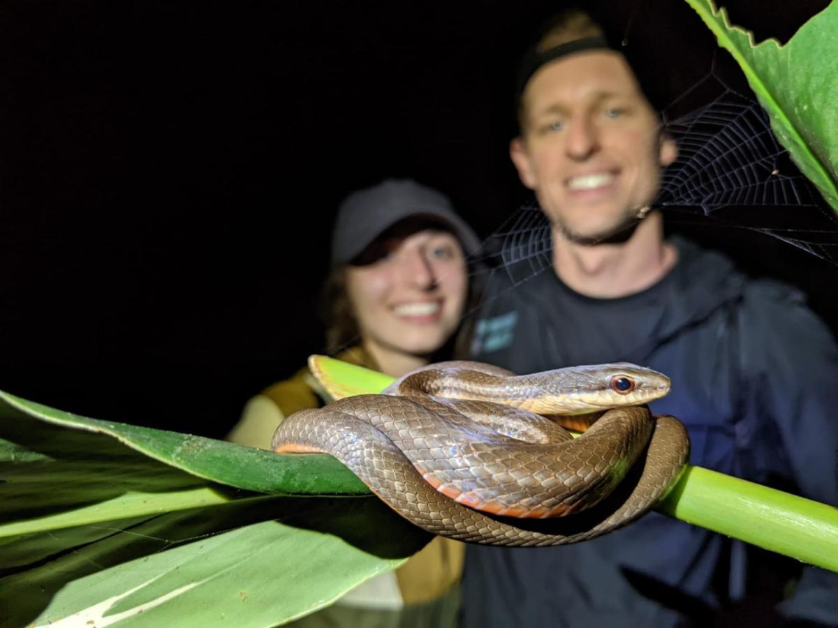 Casa Chilamates 2.0 Tortuguero Εξωτερικό φωτογραφία