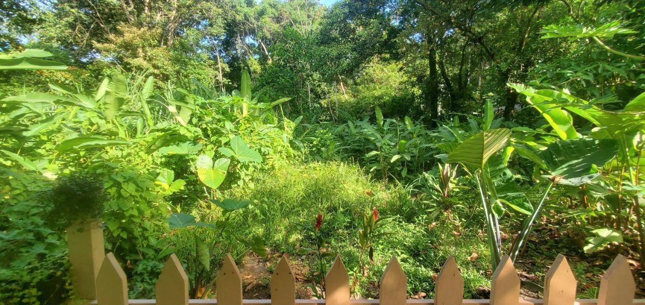 Casa Chilamates 2.0 Tortuguero Εξωτερικό φωτογραφία